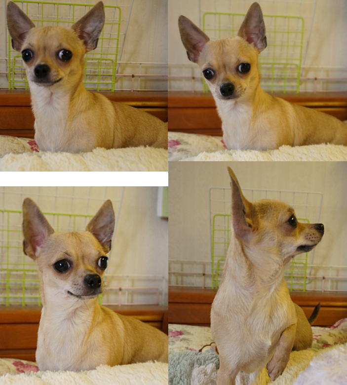 ○○○○○○○○イメージ