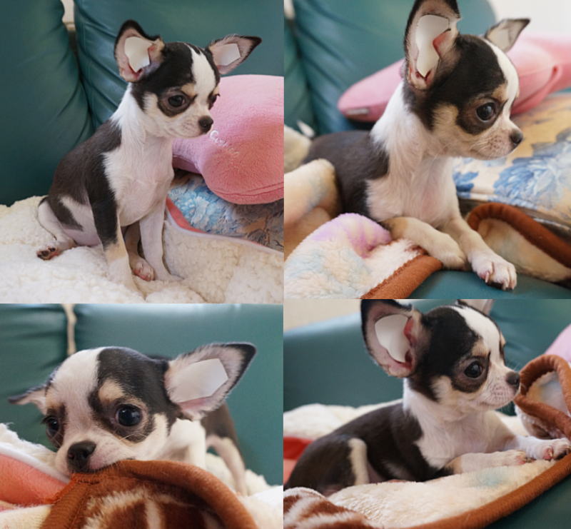 ○○○○○○○○イメージ