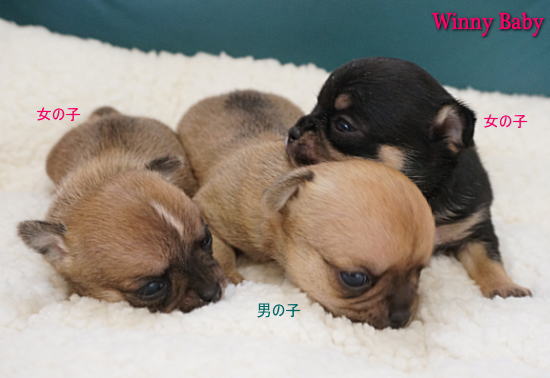 ○○○○○○○○イメージ