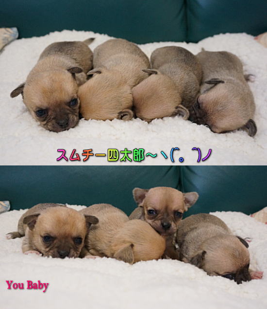 ○○○○○○○○イメージ