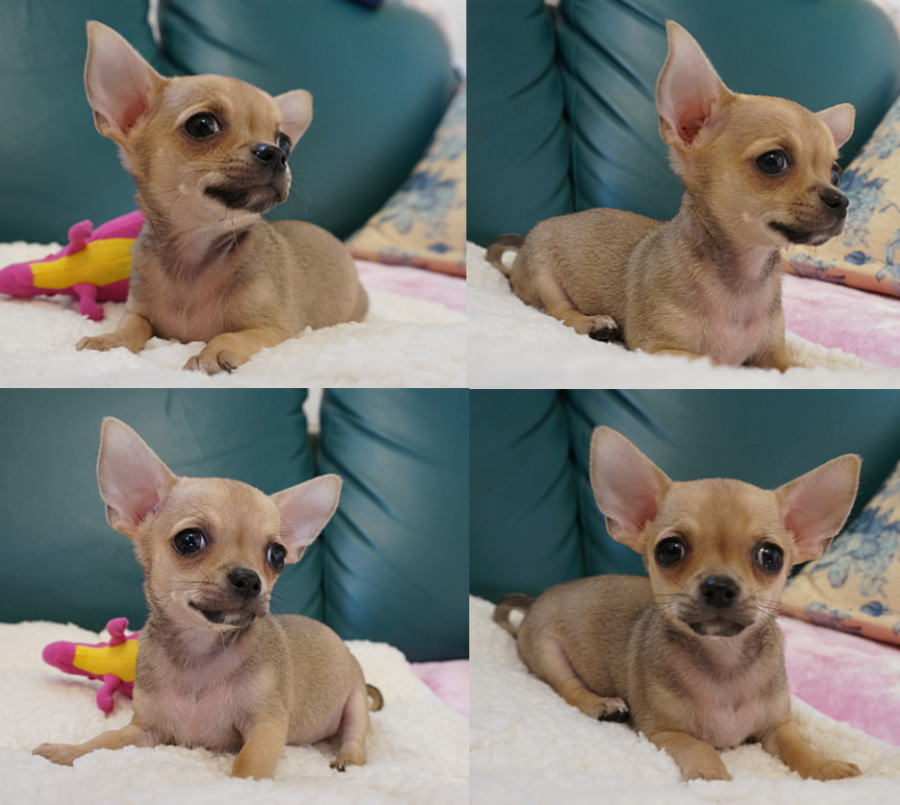 ○○○○○○○○イメージ