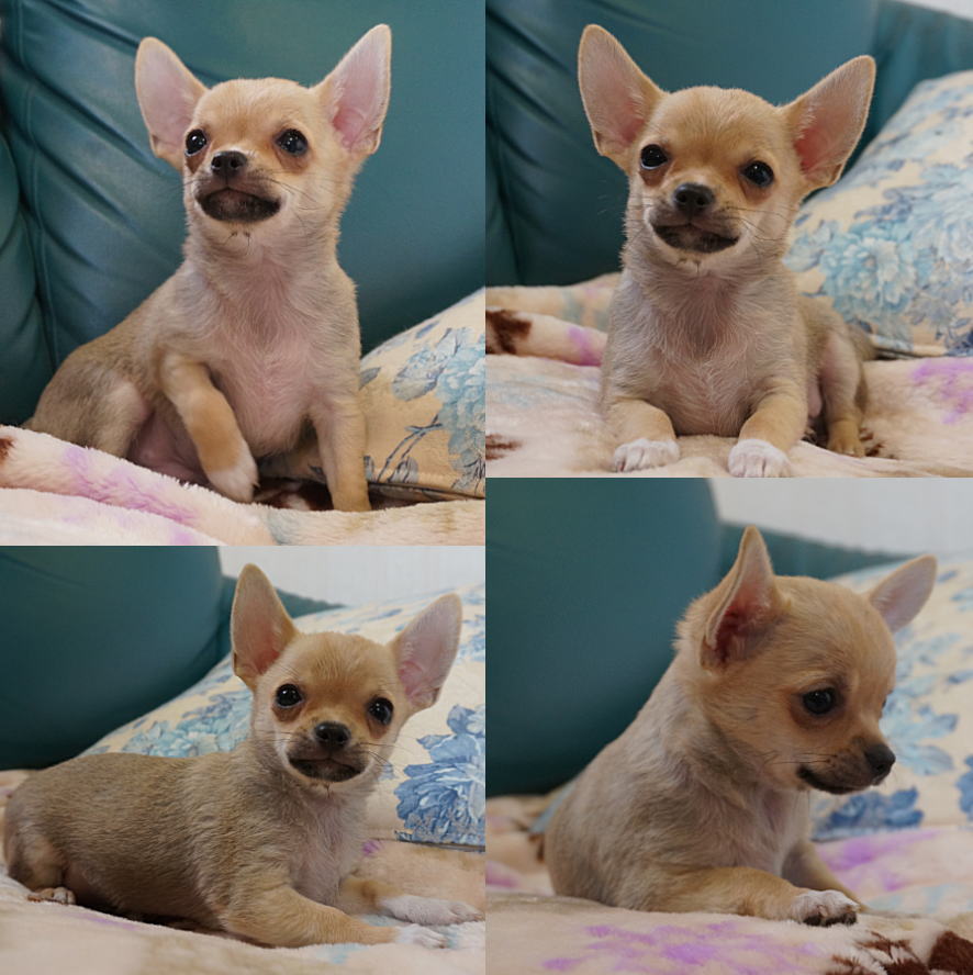 ○○○○○○○○イメージ