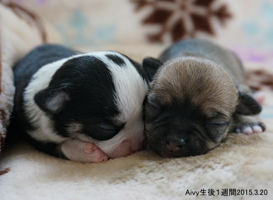 ○○○○○○○○イメージ